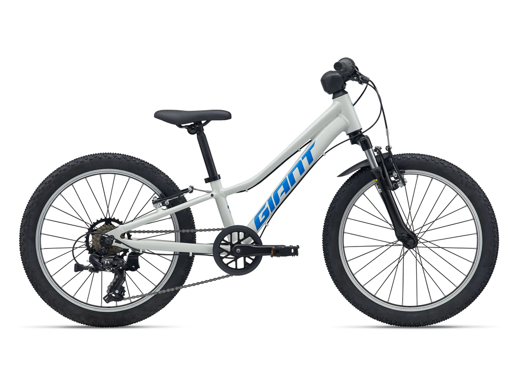 2026 GIANT TALON JR 20