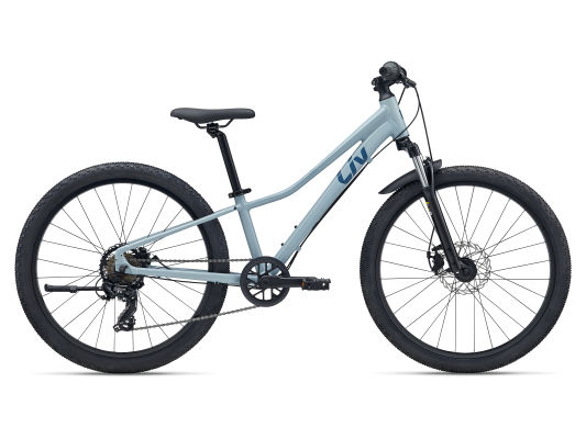 2026 LIV TEMPT JR 24 DISC