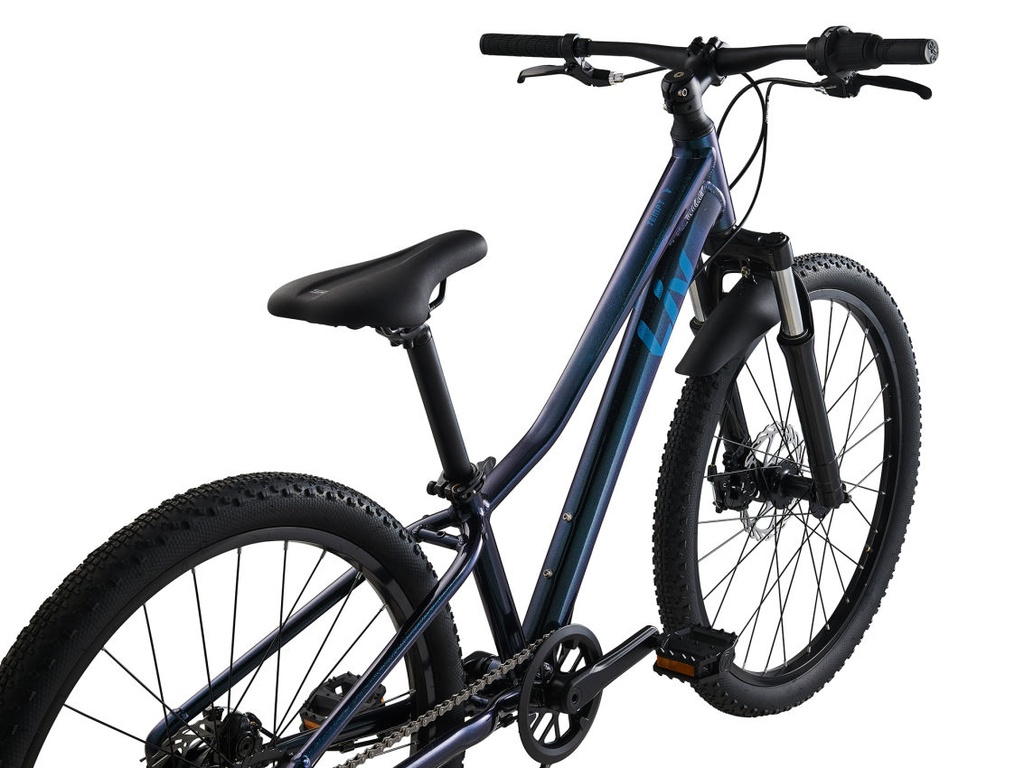 2024 LIV TEMPT JR 24 DISC