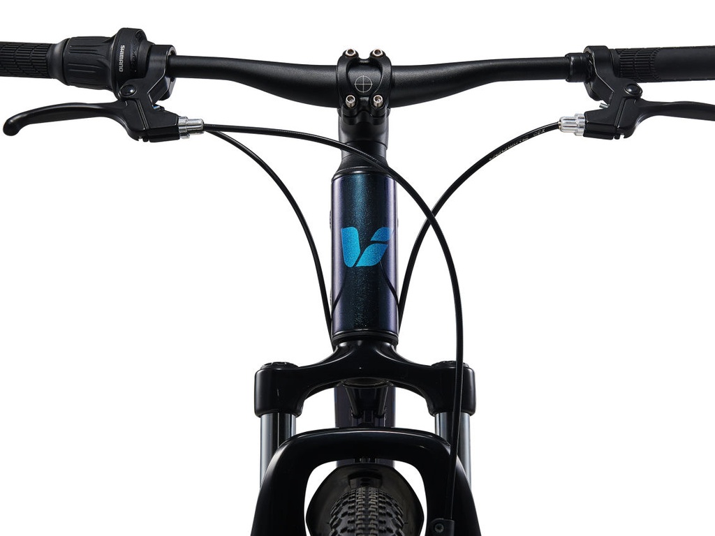 2024 LIV TEMPT JR 24 DISC