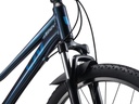 2024 LIV TEMPT JR 24 DISC