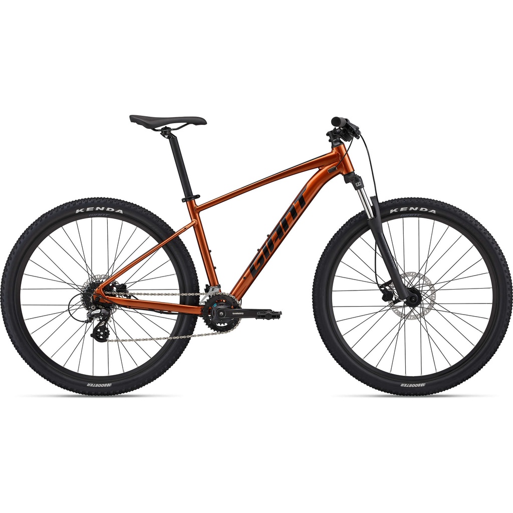 2022 GIANT TALON 29 3