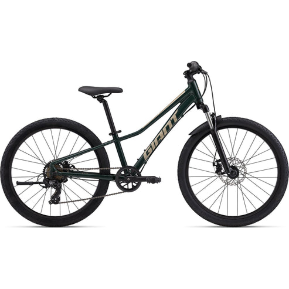 2024 GIANT TALON JR 24" DISC