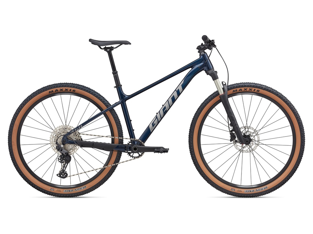 2025 GIANT TALON 29 0