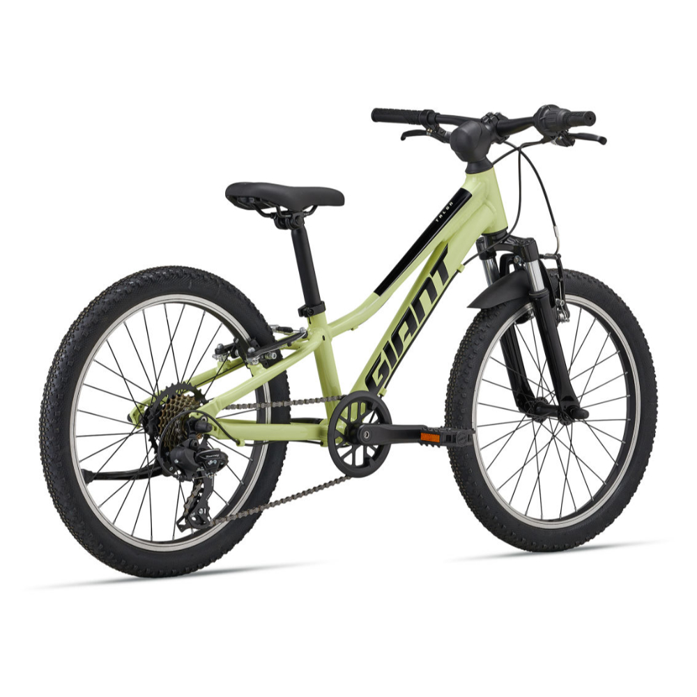 2025 GIANT TALON JR 20