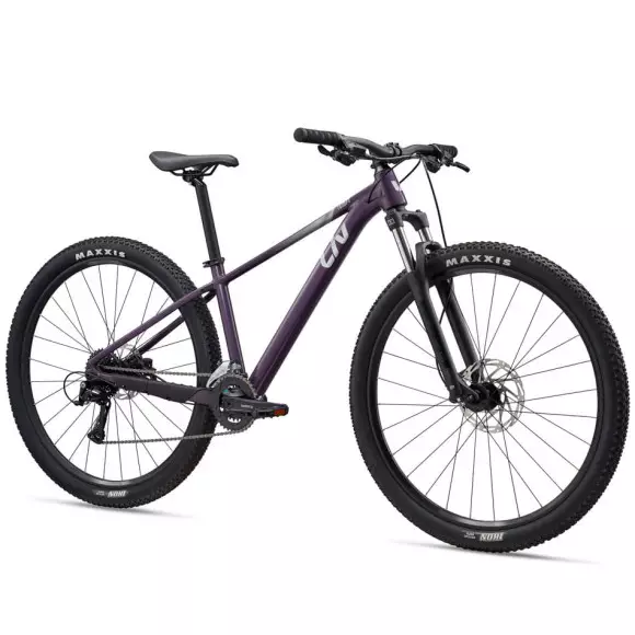 2026 LIV TEMPT 29 3