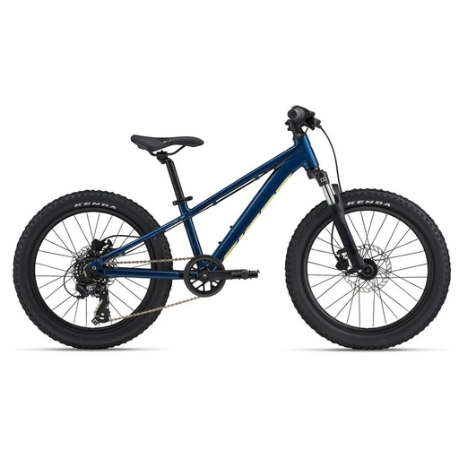 2025 GIANT STP 20" FS