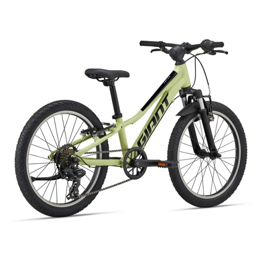 2025 GIANT TALON JR 20